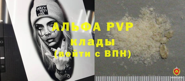 ECSTASY Бородино