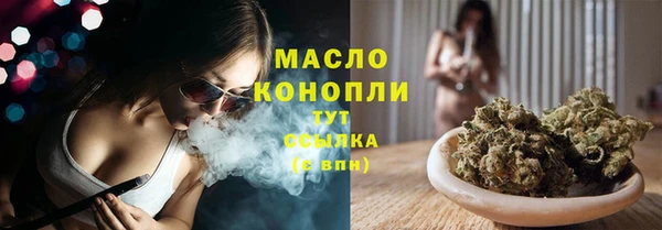 ECSTASY Бородино