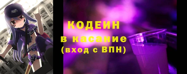 ECSTASY Бородино