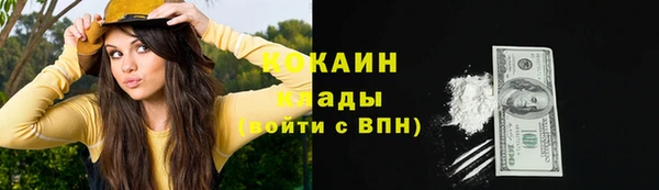 ECSTASY Бородино