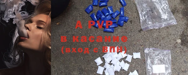 ECSTASY Бородино
