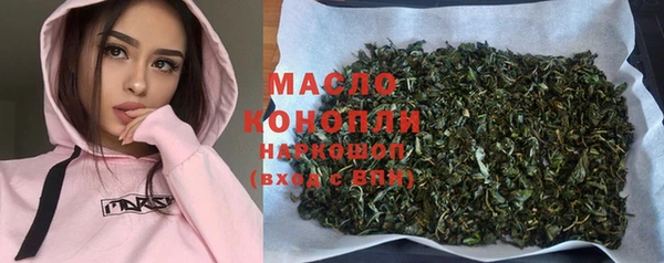 ECSTASY Бородино