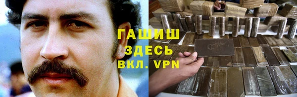 ECSTASY Бородино